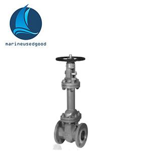 ANSI Gate valve LB150-1500