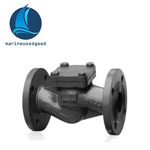 DIN swing check valve DN15MM-300MM